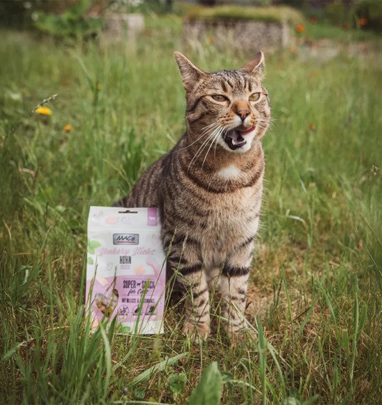 MAC's Shakery Sticks pehme maius kassile, kanalihaga