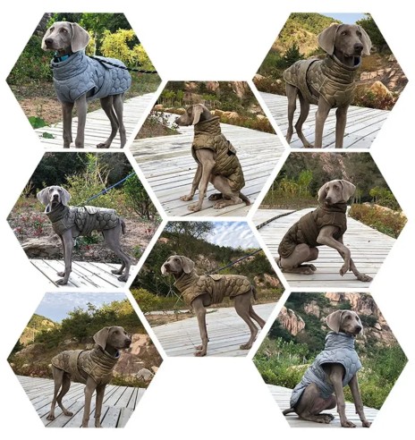 Koera talvejope tepitud, hall (VPETBR-D58)