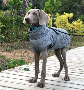 Soe jope SOFTY koertele, sinine (Doogy)–Talvejoped–Doogy–Valgekihv 2