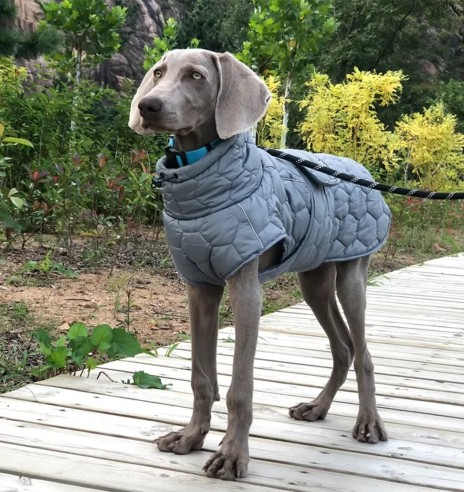 Koera talvejope tepitud, hall (VPETBR-D58)