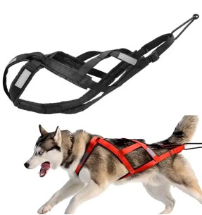 Шлейка для собак из натурального модала и хлопка, серая (Dogness Modal Cotton) – Текстильные шлейки – Dogness – Valgekihv 2