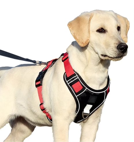 Tugevad traksid koerale, pehmendusega,...