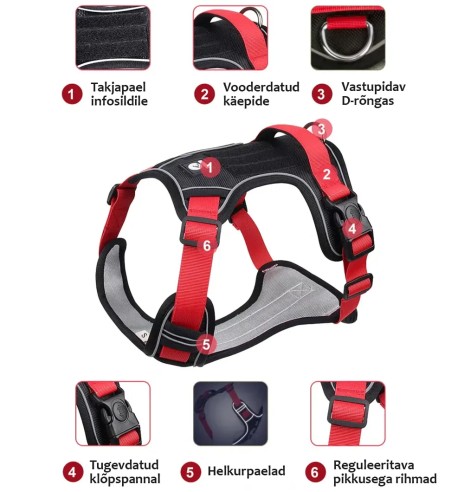 Tugevad traksid koerale, pehmendusega,...