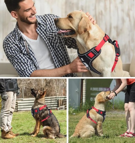 Прочные шлейки для собаки, с мягкой подкладкой,...