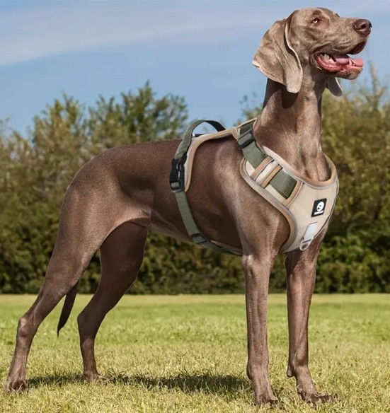 Прочные шлейки для собаки, с мягкой подкладкой, хаки (VPETBR-H3)