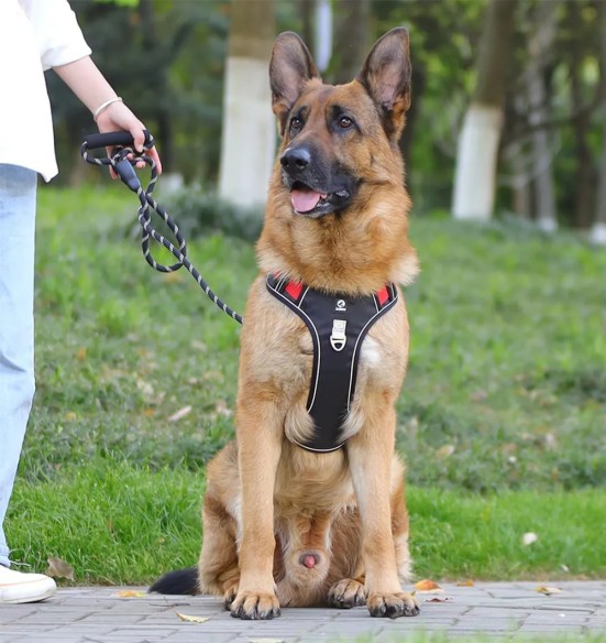 Прочные шлейки для собаки, с мягкой подкладкой, хаки (VPETBR-H3)