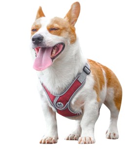 Helkuritega vetthülgavad kerged traksid koerale, hall (Dogness Water-Proof)–Tekstiilist–Dogness–Valgekihv 2