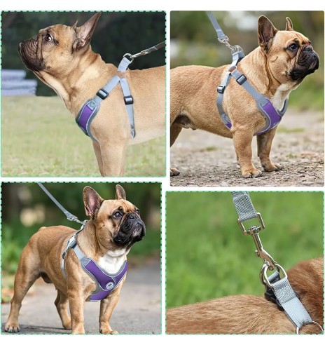 Traksid väikesele ja keskmisele koerale või...