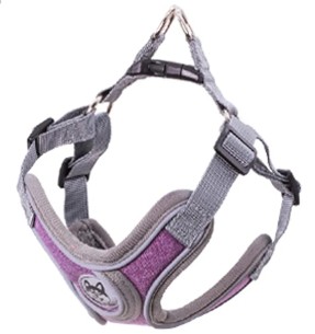 Сетчатая шлейка для собак, красная (Red Dingo) – Текстильные шлейки – Red Dingo – Valgekihv