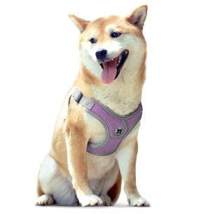 Сетчатая шлейка для собак, красная (Red Dingo) – Текстильные шлейки – Red Dingo – Valgekihv 2