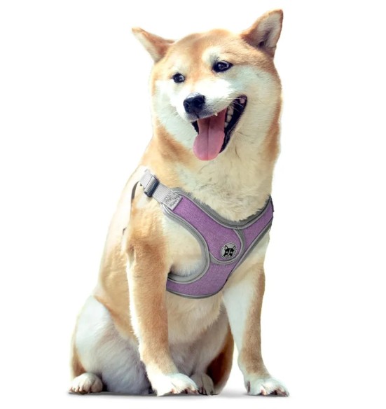 Traksid väikesele ja keskmisele koerale või kassile, lilla-hall (VPETBR Super)