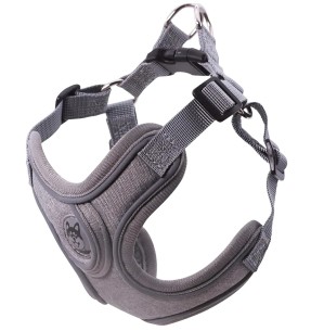 Traksid koerale vooderdatud Padded Harness Purple (Red Dingo)–Pehmendusega–Red Dingo–Valgekihv