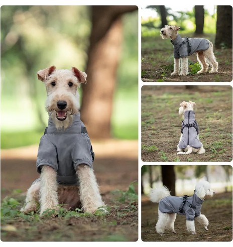 Koera vihmajope traksidega, hall (VPETBR-R316)