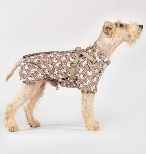 Koera talvejope traksidega, beež - valged...