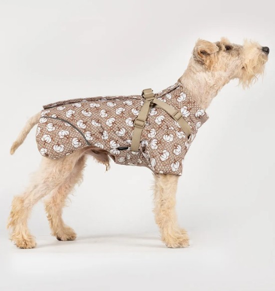 Koera talvejope traksidega, beež - valged puuvillaõied (VPETBR-D100)