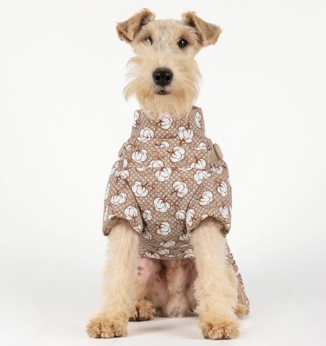 Зимняя куртка для собак с шлейкой, бежевая - с...