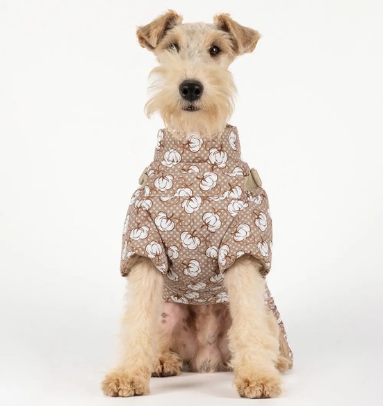 Koera talvejope traksidega, beež - valged puuvillaõied (VPETBR-D100)