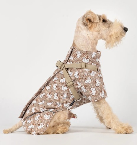 Koera talvejope traksidega, beež - valged...