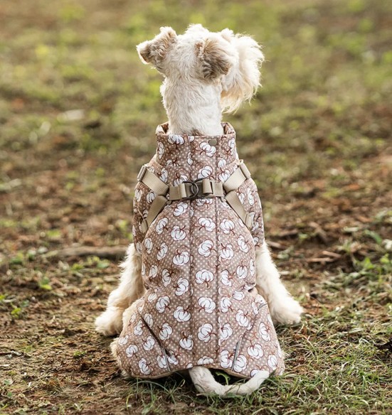 Koera talvejope traksidega, beež - valged puuvillaõied (VPETBR-D100)