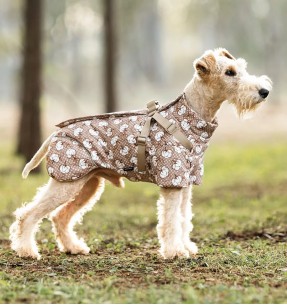 Теплая зимняя куртка для собак, двусторонняя, желтая Puffer Jacket (Red Dingo) – Soojad joped – Red Dingo – Valgekihv 2