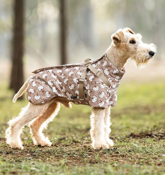 Koera talvejope traksidega, beež - valged puuvillaõied (VPETBR-D100)