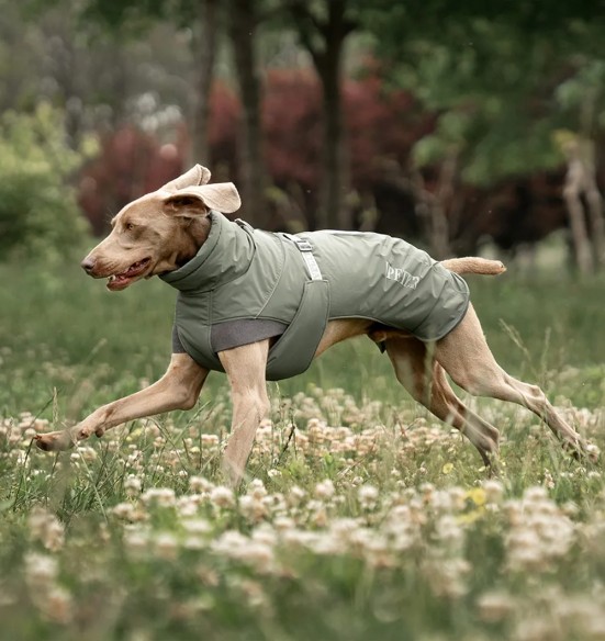 Koera talvejope, roheline (VPETBR-D117)