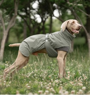 Koera jalutusrihm nailonrihm Classic, 1.1–1.8 m, roosa (Red Dingo)–Tekstiilist–Red Dingo–Valgekihv 2