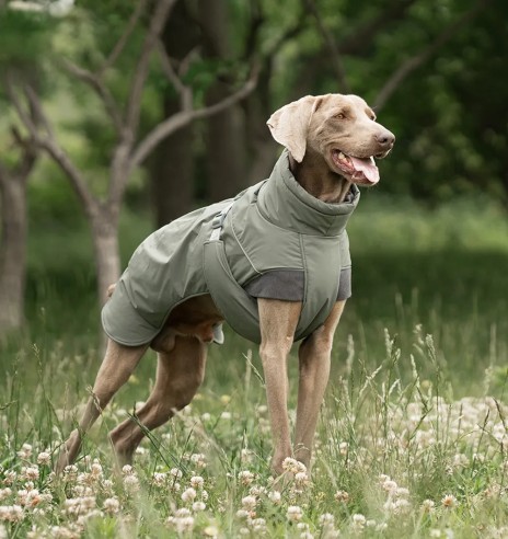 Koera talvejope, roheline (VPETBR-D117)