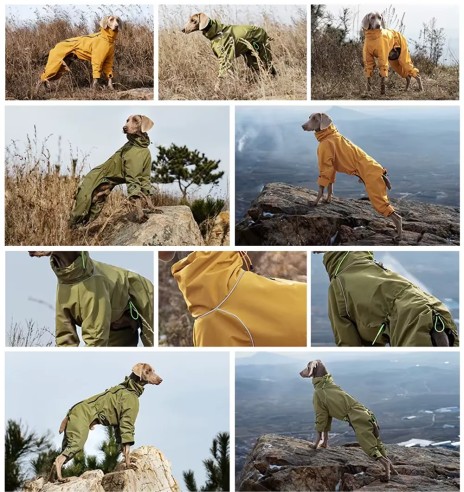 Koera jope fliisvoodriga, pikad sääred,...