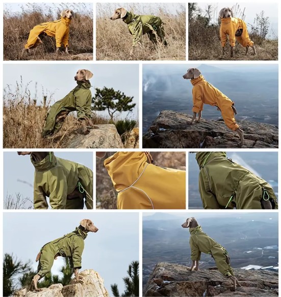 Koera jope fliisvoodriga, pikad sääred, roheline (VPETBR-D115)