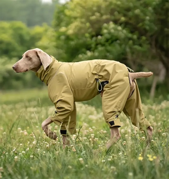 Куртка для собак с флисовой подкладкой, с длинными штанинами, зелёная (VPETBR-D115)