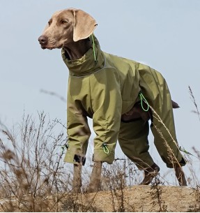 Дождевик для собаки с шарфом-трубой, желтый (VPETBR-R53) – Vihmajoped – V.PET.B.R – Valgekihv 2