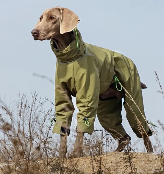 Куртка для собак с флисовой подкладкой, с длинными штанинами, зелёная (VPETBR-D115)