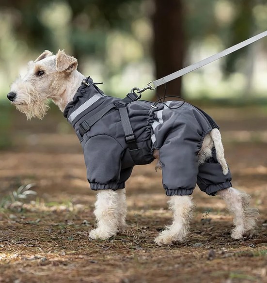 Koera talvejope traksidega, pikad sääred, hall (VPETBR-D110)