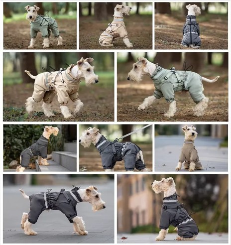 Koera talvejope traksidega, pikad sääred,...