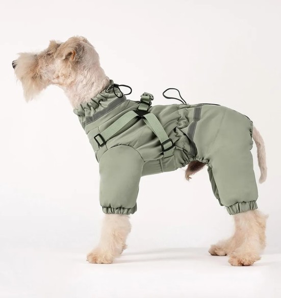 Koera talvejope traksidega, pikad sääred, roheline (VPETBR-D110)