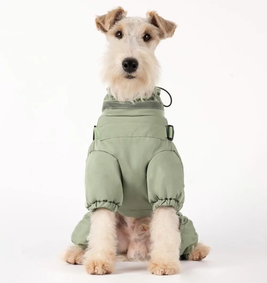 Koera talvejope traksidega, pikad sääred, roheline (VPETBR-D110)