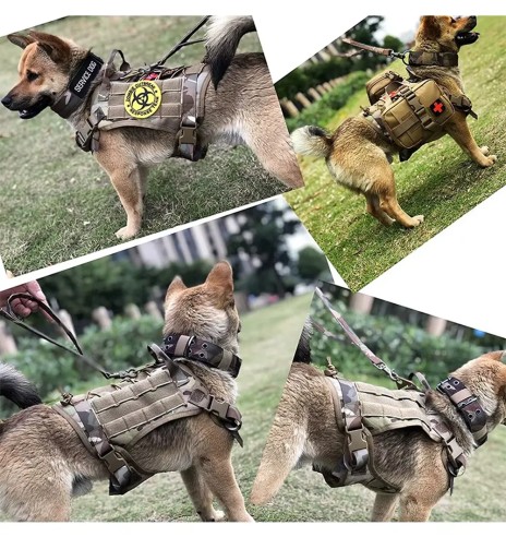 Taktikalised traksid koerale, rohekaspruun...