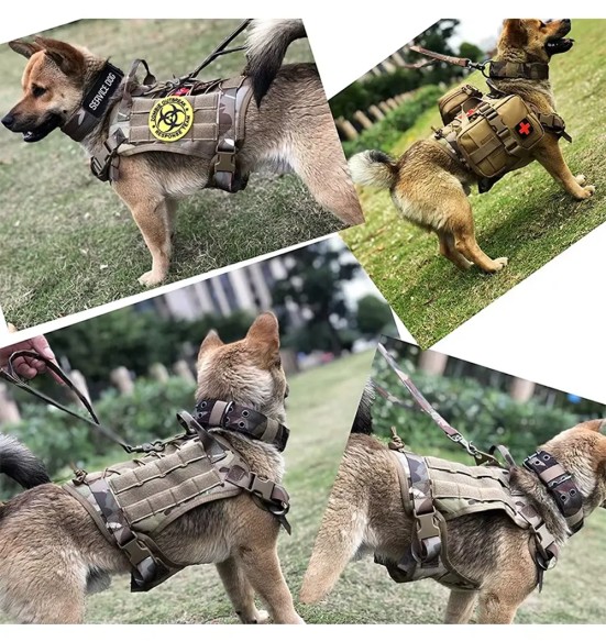 Taktikalised traksid koerale, rohekaspruun (VPETBR H4)