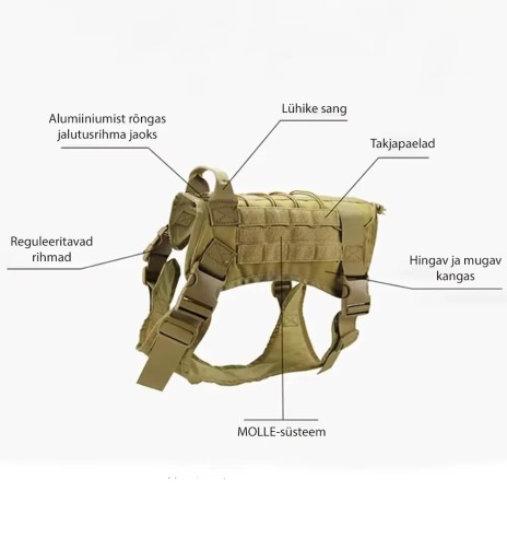 Taktikalised traksid koerale, rohekaspruun...