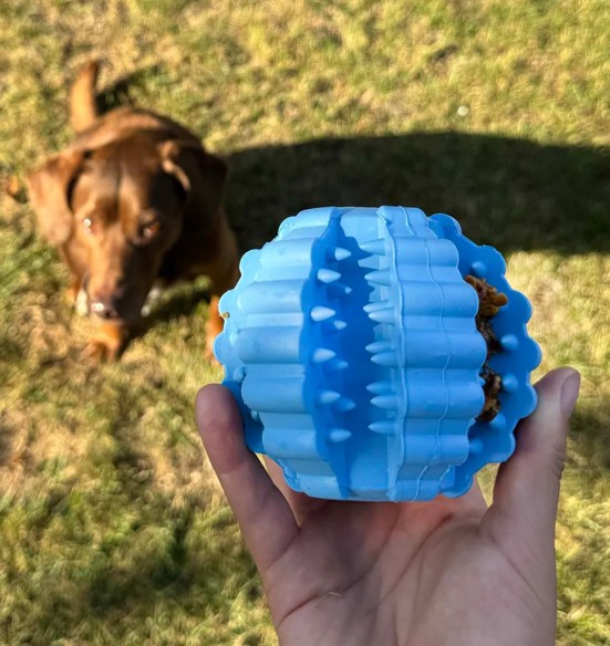 Hambaid hooldav kummist pall koerale Ø 9 cm, sinine, Griplay (Duvoplus)