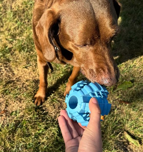 Hambaid hooldav kummist pall koerale Ø 9 cm,...