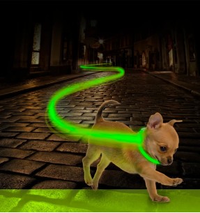 Ogakaelarihmade lülid–Ogarihmad––Valgekihv 2