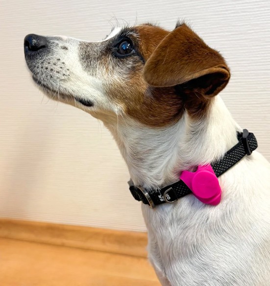 LED-tuleke rihma külge kinnitamiseks, silikoonist, Fluo Flashlight SEEcurity (Duvoplus)