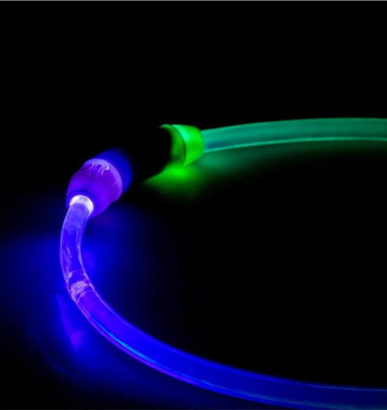 Kaelarihm koerale mitmevärvilise LED-valgustusega Flash Light Ring Multicolour SEEcurity (Duvoplus)