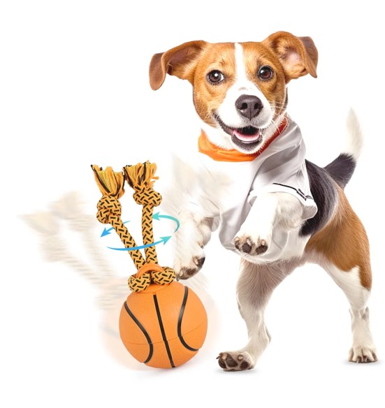 Koera mänguasi, pöörlev korvpall Dog Spinning Basket Ball (AFP - Interactives)