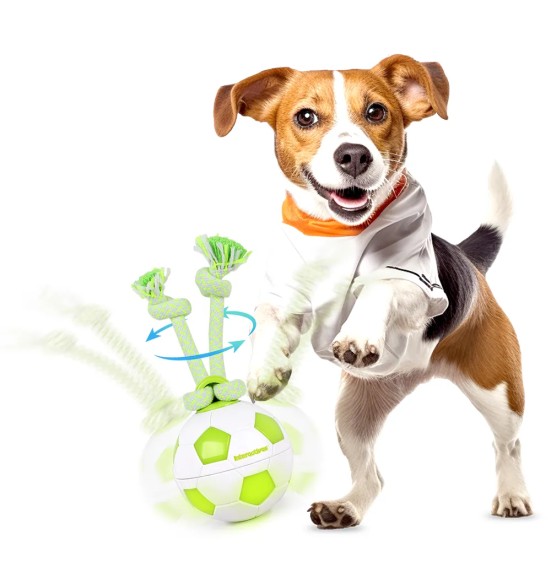 Koera mänguasi, pöörlev jalgpall Dog Spinning Soccer Ball (AFP - Interactives)