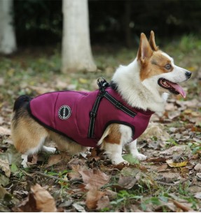 Soe jope SOFTY koertele, sinine (Doogy)–Talvejoped–Doogy–Valgekihv 2