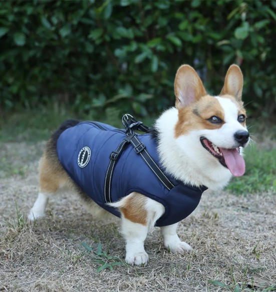 Koera talvejope külgeõmmeldud traksidega, sinine (VPETBR-D57)