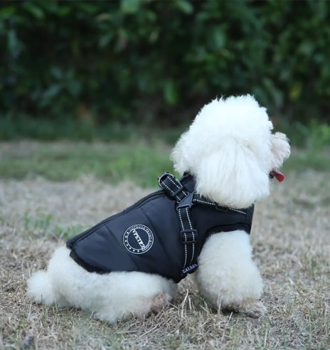 Koera talvejope külgeõmmeldud traksidega,...